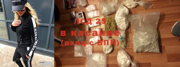 трава Бородино