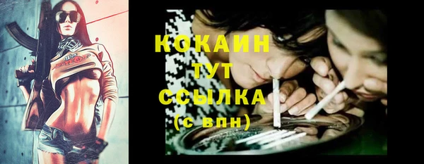 соль ск Бронницы