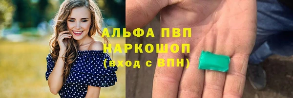 трава Бородино
