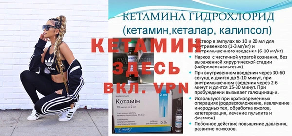 трава Бородино