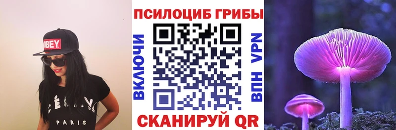 Псилоцибиновые грибы мицелий  Тверь 